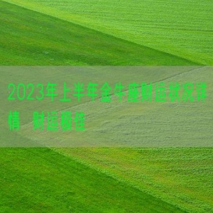 2023年上半年金牛座财运状况详情  财运极佳