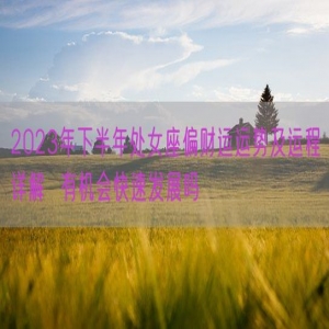 2023年下半年处女座偏财运运势及运程详解  有机会快速发展吗