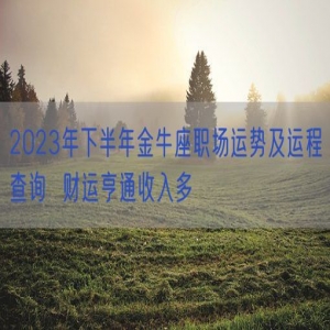 2023年下半年金牛座职场运势及运程查询  财运亨通收入多