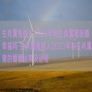生肖属兔的人2023年和生肖属猪结婚幸福吗 生肖属兔的人2023年和生肖属猪的婚姻运势及运程