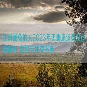 生肖属兔的人2023年天蝎座运势及运程解析 危机与冲突不断