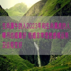 生肖属牛的人2023年和生肖属虎的人哪月结婚最好 结婚非常理想感情运势及运程变好
