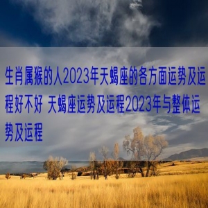 生肖属猴的人2023年天蝎座的各方面运势及运程好不好 天蝎座运势及运程2023年与整体运势及运程
