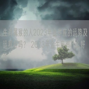 生肖属猴的人2023年金牛座的运势及运程好吗？ 2023年金牛座有什么好运