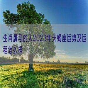 生肖属马的人2023年天蝎座运势及运程怎么样 