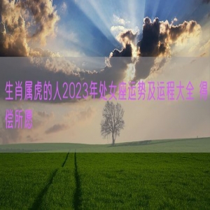 生肖属虎的人2023年处女座运势及运程大全 得偿所愿