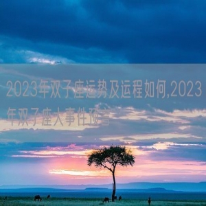 2023年双子座运势及运程如何,2023年双子座大事件预言