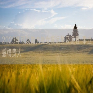 2023年可以助力处女座运势及运程 事业感情贵人