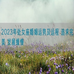 2023年处女座婚姻运势及运程 追求完美 发展缓慢