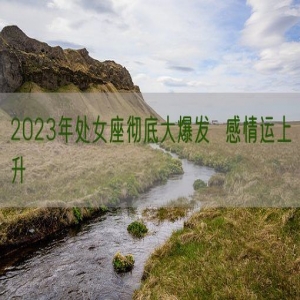 2023年处女座彻底大爆发  感情运上升