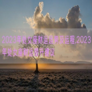 2023年处女座财运运势及运程,2023年处女座财运提升建议