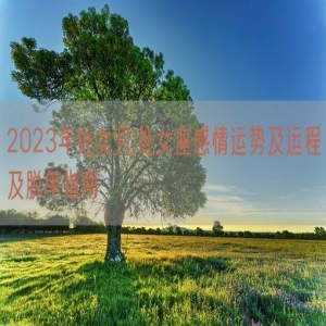 2023年处女月,处女座感情运势及运程及脱单指南