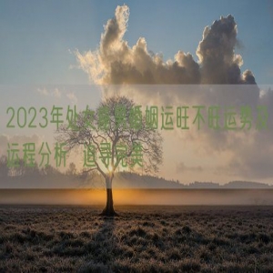2023年处女座男婚姻运旺不旺运势及运程分析  追寻完美