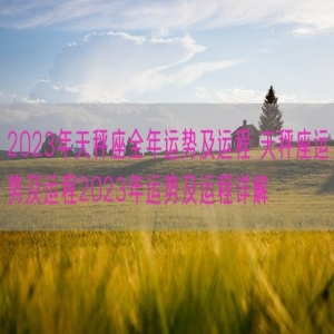 2023年天秤座全年运势及运程 天秤座运势及运程2023年运势及运程详解 