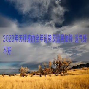 2023年天秤座的全年运势及运程如何 运气好不好