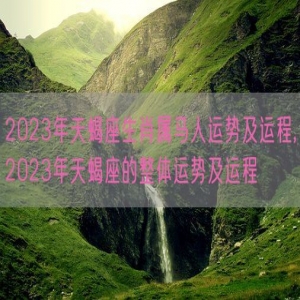 2023年天蝎座生肖属马人运势及运程,2023年天蝎座的整体运势及运程