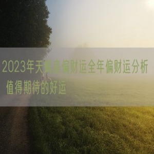 2023年天蝎座偏财运全年偏财运分析  值得期待的好运