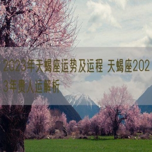 2023年天蝎座运势及运程 天蝎座2023年贵人运解析