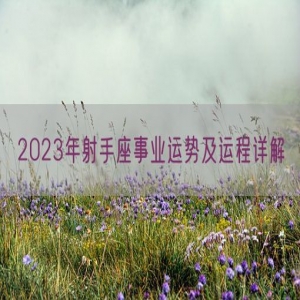 2023年射手座事业运势及运程详解