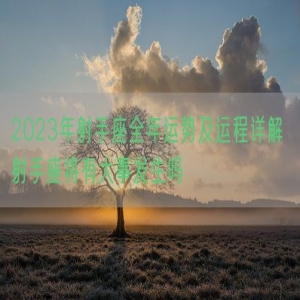 2023年射手座全年运势及运程详解 射手座将有大事发生吗