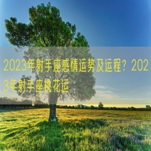 2023年射手座感情运势及运程？2023年射手座桃花运