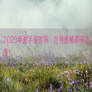 2023年射手座时间  对待感情有何态度