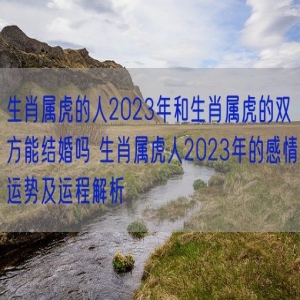 生肖属虎的人2023年和生肖属虎的双方能结婚吗 生肖属虎人2023年的感情运势及运程解析