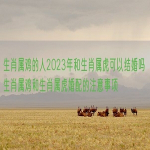 生肖属鸡的人2023年和生肖属虎可以结婚吗 生肖属鸡和生肖属虎婚配的注意事项