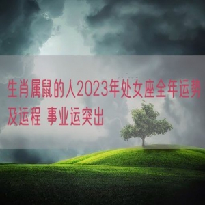 生肖属鼠的人2023年处女座全年运势及运程 事业运突出