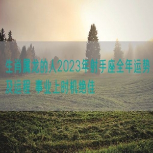 生肖属龙的人2023年射手座全年运势及运程 事业上时机绝佳