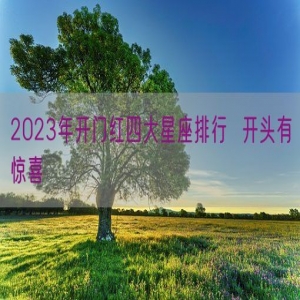 2023年开门红四大星座排行  开头有惊喜