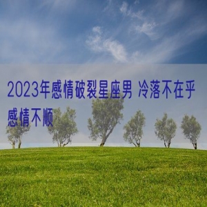 2023年感情破裂星座男 冷落不在乎 感情不顺