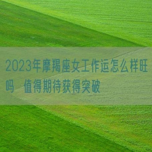 2023年摩羯座女工作运怎么样旺吗  值得期待获得突破