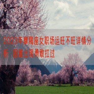 2023年摩羯座女职场运旺不旺详情分析  困难出现勇敢扛过