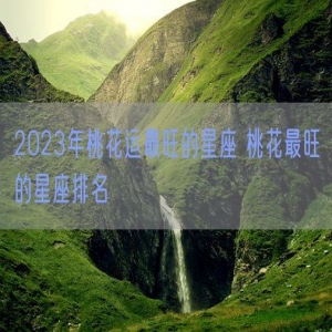 2023年桃花运最旺的星座 桃花最旺的星座排名