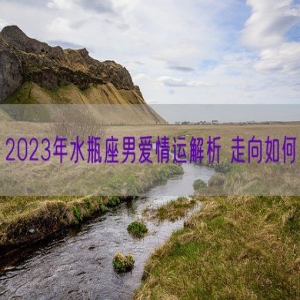 2023年水瓶座男爱情运解析 走向如何