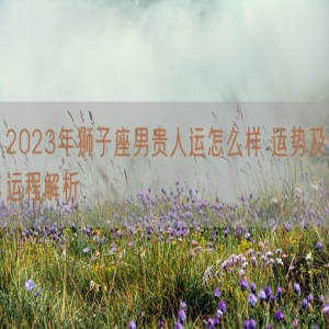 2023年狮子座男贵人运怎么样 运势及运程解析