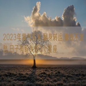 2023年紫气东来,翻身转运,赚钱不发愁,日子有盼头的3个星座