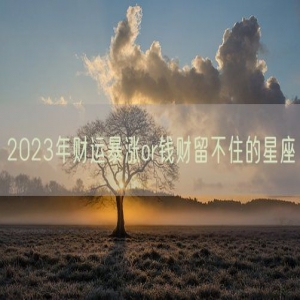 2023年财运暴涨or钱财留不住的星座