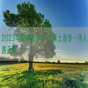 2023年脱单的八字 大驿土命专一待人遇正缘