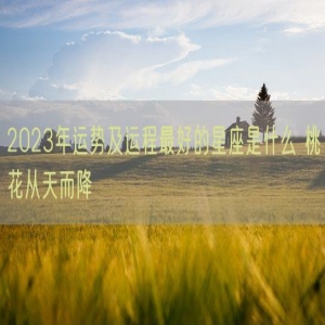 2023年运势及运程最好的星座是什么 桃花从天而降