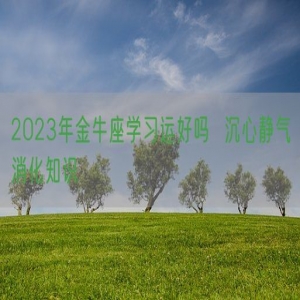 2023年金牛座学习运好吗  沉心静气消化知识