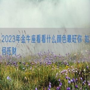 2023年金牛座看看什么颜色最旺你 如何旺财