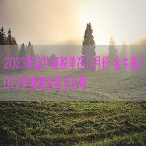 2023年金牛座脱单在几月份 金牛座2023年爱情运势及运程
