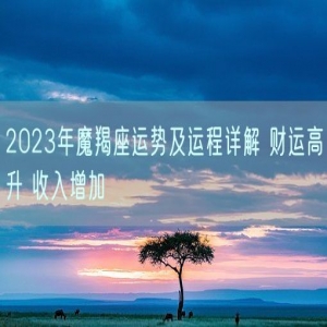 2023年魔羯座运势及运程详解 财运高升 收入增加