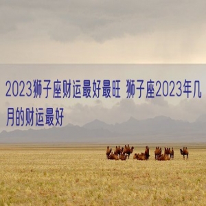 2023狮子座财运最好最旺 狮子座2023年几月的财运最好