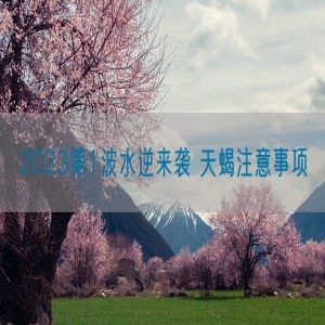 2023第1波水逆来袭 天蝎注意事项