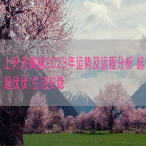 上升天蝎座2023年运势及运程分析 起起伏伏 生活安稳