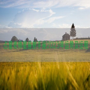 占星老师星座射手座2023年运势及运程