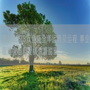 原创2023双鱼座全年运势及运程 事业很难突出但爱情浪漫甜蜜